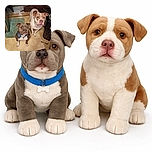 Two attentive dogs sit on a worn kitchen floor, one with a blue collar and the other with a pink nose, looking up with hopeful eyes amid a cluttered background including a green rug, some shoes, and scattered items.