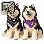 Two happy huskies wearing festive Halloween bandanas pose side by side on a bridge at sunset, with colorful love locks decorating the chain-link fence behind them and a serene river reflecting the warm sky.