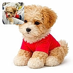 A fluffy little pup in a bright red shirt is burrowed into a sherpa blanket like it owns the shopping cart — one paw draped over the edge, nose peeking out, plotting nap time and world domination in equal measure.