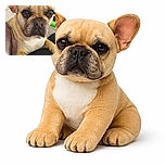 A close-up photo of a tan French Bulldog with soulful eyes and a slightly wrinkled face, resting one paw on a black surface, looking thoughtfully at the camera with a cozy indoor background.