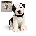 A cute black and white puppy sitting on a concrete surface with a slightly tilted head, looking curiously at the camera. The background shows some greenery and fallen leaves, giving a natural outdoor vibe.