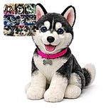 A collage of adorable husky puppies and their mom, with bright pink and red text overlays labeling 'Mamà' and 'Cachorritos'. The pups are snuggled together in a blue container and on a tiled floor, showing off their fluffy fur and playful expressions against a soft pink background.