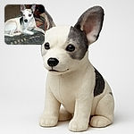 A white dog with black patches lounges on a heavily fur-covered blanket in a cluttered indoor setting. The dog's eyes reflect red from the camera flash, giving it a slightly eerie look, while the background shows a mix of furniture and household items in dim lighting.