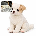 A tiny white puppy in peak nap mode, curled out across a cartoon-patterned blanket on top of a wire crate — one paw tucked, ear flopped, and dreams clearly being chased. The cozy chaos of a couch and household items in the background makes this look like a five-star snooze in a one-star studio.