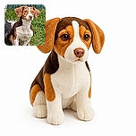 A wonderfully serious puppy sits in the grass like a tiny canine judge, staring into the camera with floppy ears, a dramatic white facial stripe, and the unmistakable expression of someone waiting for snacks. Another fluffy dog peeks in from the side, while a weathered green fence provides a rustic backdrop.
