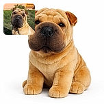 A close-up photo of a wrinkly dog with a large, exaggerated nose sitting outside on grass in front of a house with a yellow door, looking curiously at the camera.