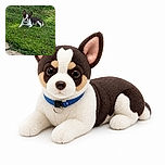 A tiny black-and-white dog lounges in the grass like a pint-sized lawn supervisor, staring at the camera with the serious expression of someone who has just discovered a suspiciously interesting blade of grass.