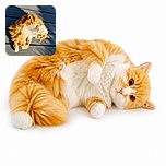 A fluffy orange-and-white cat is sprawled upside down on a sunlit deck, looking utterly relaxed and slightly suspicious—as if it has just been caught rehearsing for the feline Olympics of dramatic lounging.