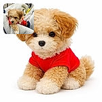 A tiny curly-haired puppy in a red sweater has commandeered a plush grey blanket in a shopping cart, one paw dramatically draped over the edge like it's posing for a pet magazine. It peers out with soulful eyes while a yellow tag photobombs from the bedding — auditioning for the role of Chief Cuddle Officer.