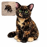 A tortoiseshell cat lies on a wooden floor playing with a white shoelace, eyes wide open in curious delight as if plotting its next playful pounce.