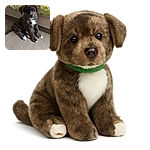 A fluffy brindle puppy with white paws and a green collar sits adorably on a wooden floor next to a bed with a green and white patterned blanket, looking curiously at the camera with a calm expression.