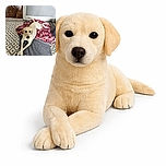 A calm yellow Labrador dog lounges elegantly on a cozy mix of a gray textured rug and a vibrant red floral blanket, perfectly crossing its paws as if posing for a portrait, set against a charming tiled floor and a neutral wall background.