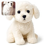 An adorable fluffy white dog with big, soulful eyes and a slightly tilted head, sitting patiently against a soft blurred background that highlights its cuddly fur and charming expression.