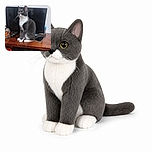 A dignified gray-and-white cat sits like the newly appointed CEO of the entertainment center, presiding over the TV, remote, phone, and a suspiciously colorful collection of desk clutter.