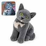 A wide-eyed gray-and-white cat stares into the camera like it has just discovered the secret of the universe, while being comfortably held by a human in the background.