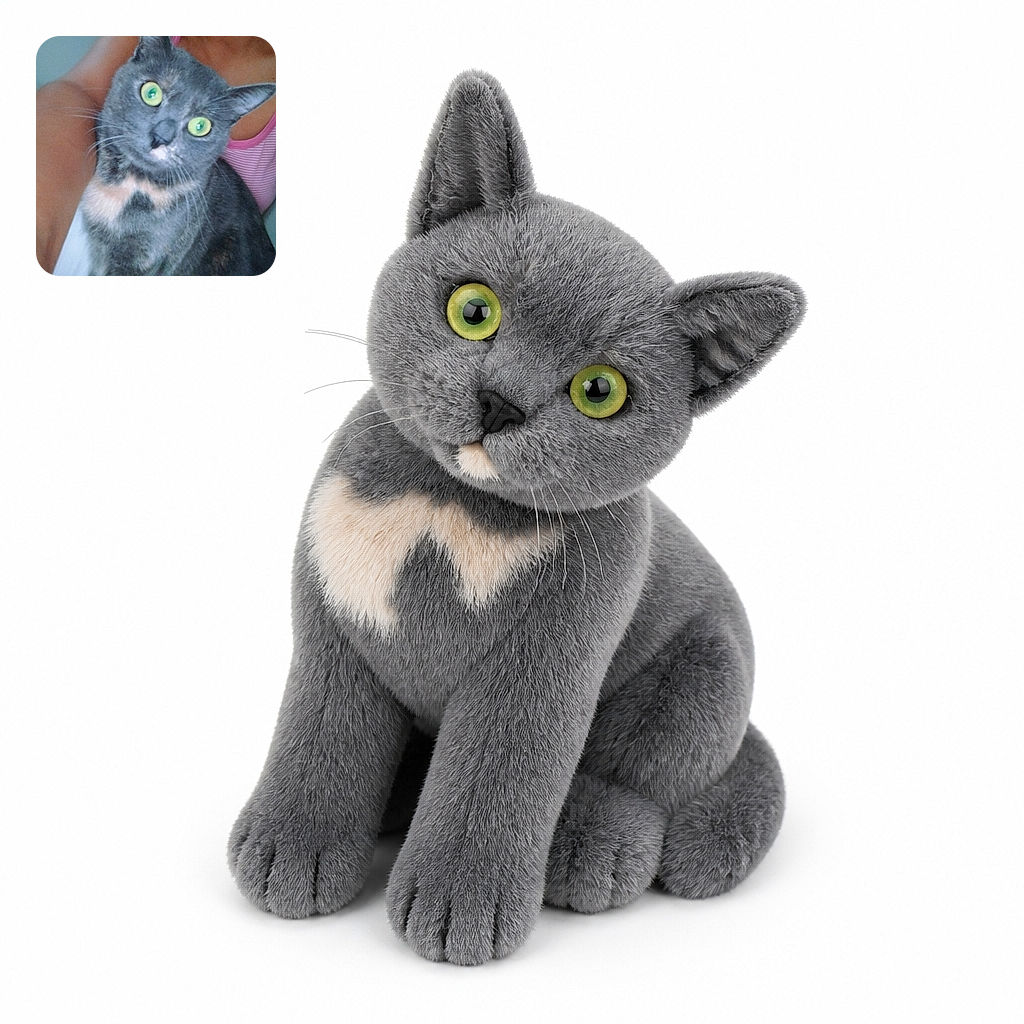 A wide-eyed gray-and-white cat stares into the camera like it has just discovered the secret of the universe, while being comfortably held by a human in the background.