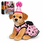 A small dog dressed in a pink butterfly-patterned outfit and a bright pink birthday hat is being gently held by a person wearing a white and light blue outfit. The dog looks calm and slightly curious, while the person's hands cradle the dog securely. The background is softly blurred, emphasizing the festive little birthday star.
