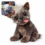 A quirky little dog with wild, spiky white hair and a tongue sticking out playfully, tilting its head in a curious and adorable manner against a blurred outdoor background.