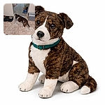 A brindle dog glances back at the camera with a guilty-but-adorable look while standing by its food and water bowls in a home hallway — tail a blur of excitement and a jacket and shoes scattered in the entry.