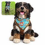 A happy dog wearing a colorful blue bandana with skull designs sits proudly on a lush green field, tongue out and eyes gleaming with joy, looking like the ultimate good boy ready for an adventure.