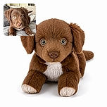 A fluffy chocolate-brown puppy stares intensely into the camera from a cozy blanket, looking like it has just discovered the secret to world domination—or at least where the treats are hidden. Its oversized paws and curious eyes make it the undeniable star of this snug indoor portrait.