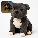 A sturdy black and white dog sits patiently on a wooden floor, looking up with soulful eyes in a softly lit indoor setting with a vacuum cleaner in the background.