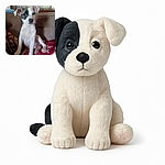 A cute puppy with a black patch over one eye sits on a cozy couch covered with blankets. The background shows some household items slightly out of focus, making the puppy the clear star of this warm, homey snapshot.