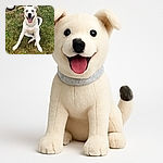 A happy dog with striking blue eyes sits on a patchy grassy lawn, tongue out in a big smile, looking ready for a game or a belly rub. A white bowl sits nearby, hinting at a recent snack or water break.