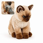A fluffy Siamese kitten sits on a luxurious shaggy blanket, looking deeply concerned—as if it has just discovered that its paws are, in fact, attached to it. Warm indoor lighting and the cozy texture make this a charming cat portrait.
