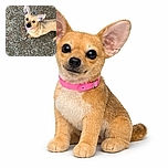 A curious small dog with oversized ears and a pink collar looks up eagerly from a gravelly ground, tethered by a leash held by someone wearing a hiking shoe. The dog's eyes sparkle with anticipation, making it look like it's ready for an adventure or a treat.