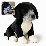 A wise-looking black and white dog with a touch of gray on its face lounges on a cozy beige blanket, gazing thoughtfully to the side. Behind, a polka-dotted pillow and some stuffed toys add a homey vibe to the scene.