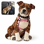 A charming brindle dog wearing a pink harness sits patiently on the backseat of a car, looking out the window with a calm and curious expression. The car interior is clean but shows some pet hair, and the dog seems ready for an adventure or a cozy ride home.
