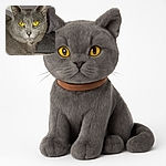A close-up photo of a gray cat with strikingly bright yellow eyes staring directly at the camera, with soft background elements slightly blurred.