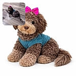 A fluffy little dog lounges on a wood floor wearing a tiny denim jacket and a bright pink bow, giving a sleepy, stylish side-eye like it knows it’s the household fashion director.