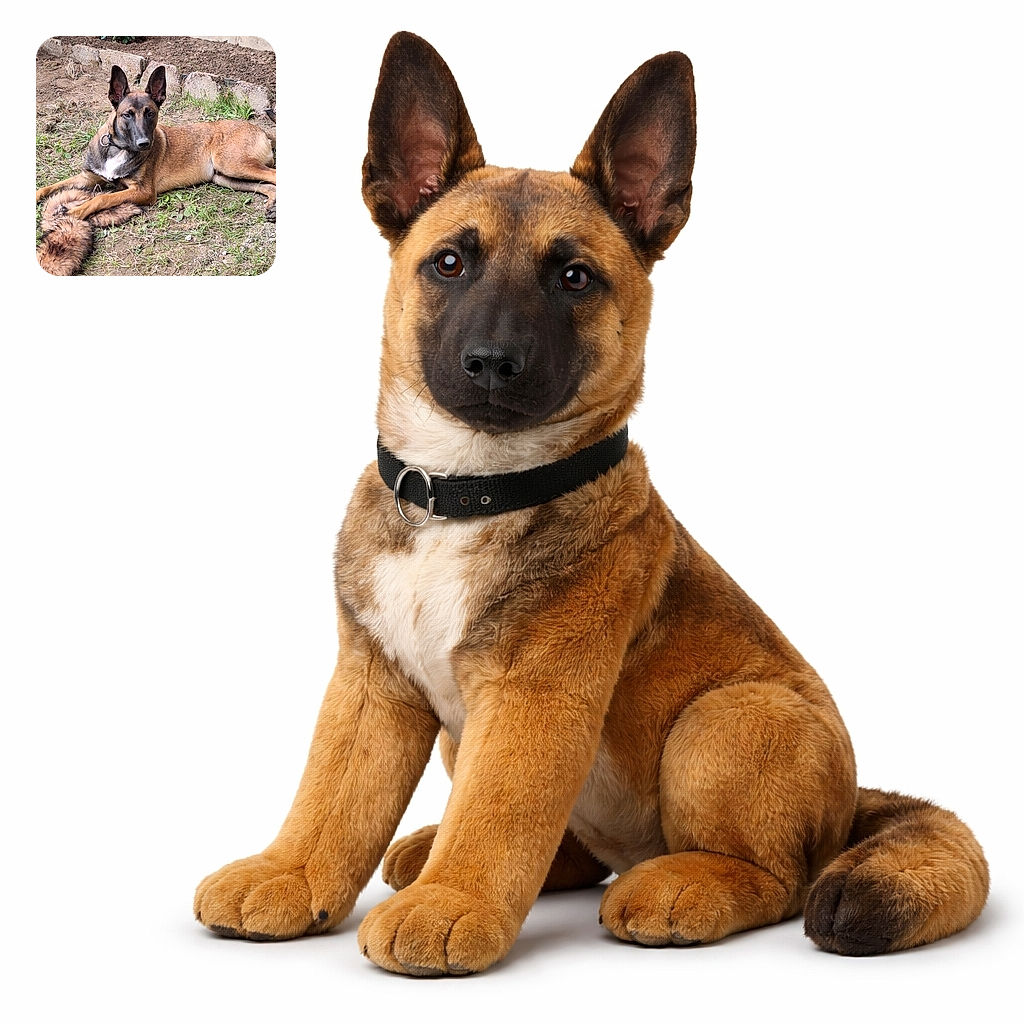 A vigilant Belgian Malinois dog lounges on a patch of grass and dirt in a backyard garden, with a furry tail-like object under its paws and a small rose plant blooming in the background, all framed by a rustic stone border and a concrete wall.