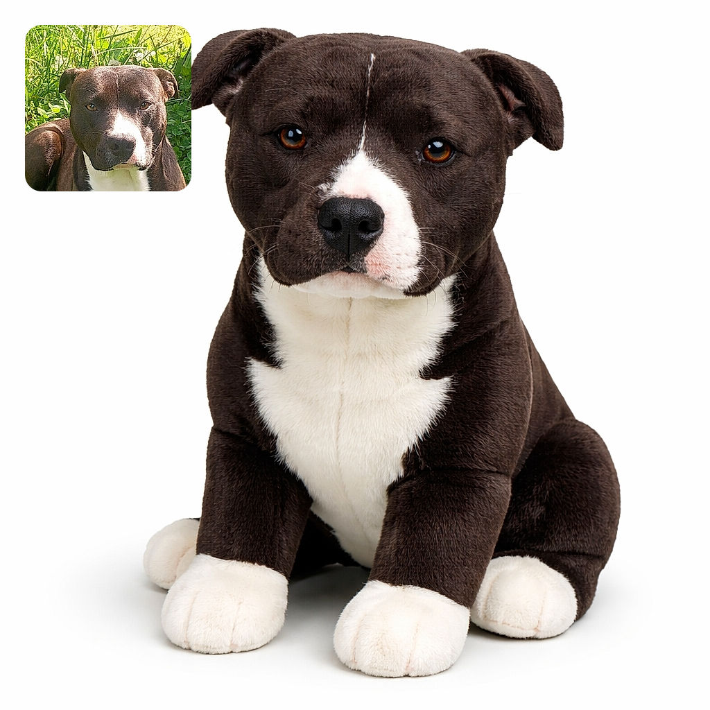 A serious-looking black and white dog lounges in a lush green garden, basking in the sunlight with a calm and attentive gaze.