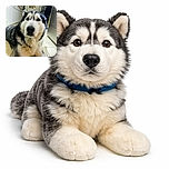 A fluffy husky lying on a tiled kitchen floor, looking directly at the camera with soulful eyes. The background shows kitchen cabinets and appliances, giving a cozy home vibe. The dog's fur is thick and well-groomed, and the photo captures a warm, candid moment.