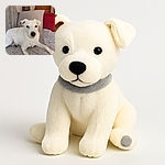 A charming white dog lounges comfortably on a speckled blanket with a cozy pillow and a red couch in the background, looking curiously at the camera with a gentle expression.
