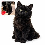 A fluffy black cat sits attentively on a wooden kitchen counter, its curious eyes gleaming in the ambient light. Nearby, a wooden pepper grinder and a red silicone mat add a pop of color and texture to the cozy kitchen setting.