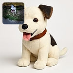 A cheerful white dog with black patches stands on a patch of grass next to a concrete path, tongue out and tail wagging, looking like it's ready for an adventure on a sunny day.