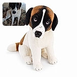 A wonderfully serious-looking black, white, and brown dog sits on a floral couch, gazing upward as if personally offended by the camera's interruption. Its long legs, floppy ears, and enormous shiny nose give it the unmistakable air of a melodramatic canine movie star.