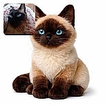A close-up photo of a Siamese cat with striking blue eyes, partially wrapped in a fluffy, textured blanket with pink and white strands, creating a cozy and warm atmosphere. The background is blurred, focusing attention on the cat's expressive face.