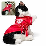 A black-and-white cat lounges on a beige blanket, wearing a bright red outfit with a heart and 'XOXO' printed on it, looking curiously at the camera as if ready for a Valentine's Day party.