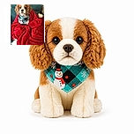 A very serious-looking Cavalier King Charles Spaniel sits bundled like royalty in a bright red blanket, wearing a festive bandana and staring into the camera as if waiting for room service. The photo appears inside a social-media comment thread, with a teal couch behind the dog and a fluffy tail cameo peeking out from the blanket.