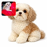A fluffy dog with curly fur lounges on a vibrant red blanket, surrounded by cozy household items including a tissue box and patterned fabric, creating a warm and homely scene.