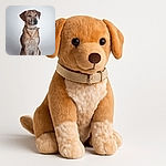 A dignified dog sits patiently against a plain, softly lit background, showcasing its attentive eyes and sleek fur with a calm and regal demeanor.