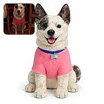 A cheerful dog sits between chairs like it belongs at the head of the table, wearing a pink shirt and flashing a grin — tongue out, ears perked, and a colorful tag wobbling on its collar. The low indoor light gives everything a cozy, slightly grainy look while the pup steals the spotlight with pure personality.