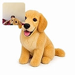 A cheerful golden retriever has taken over the foreground like a fluffy celebrity, tongue out and eyes sparkling, while a relaxed person peeks from behind on a cozy red blanket as though the dog just won the cuddle competition.