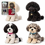 A collage of four different small dogs, each with distinct fur colors and textures, posing in various indoor and outdoor settings. The dogs show a mix of curious and relaxed expressions, with backgrounds including wooden decking, a patterned carpet, a woven chair, and a red blanket.