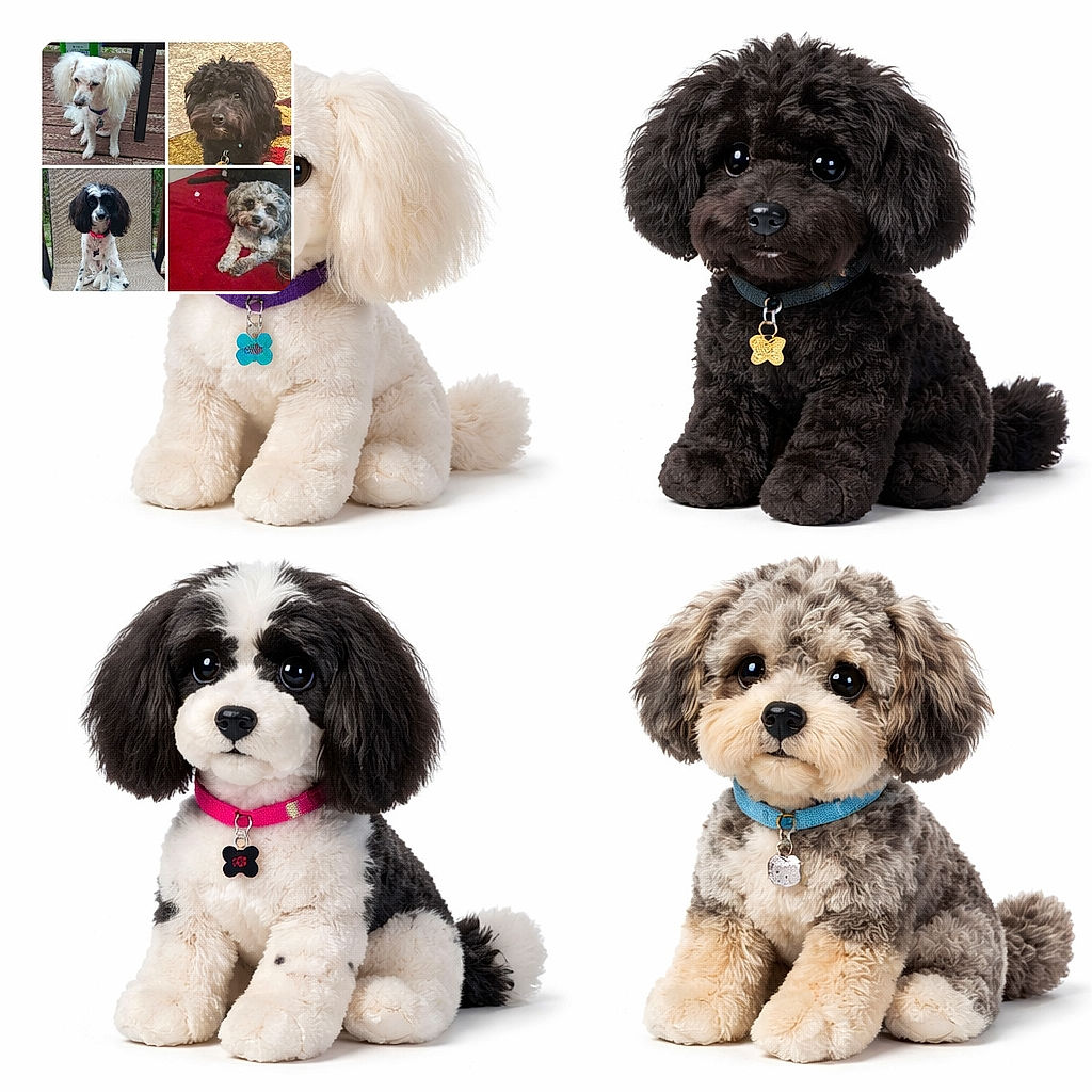 A collage of four different small dogs, each with distinct fur colors and textures, posing in various indoor and outdoor settings. The dogs show a mix of curious and relaxed expressions, with backgrounds including wooden decking, a patterned carpet, a woven chair, and a red blanket.